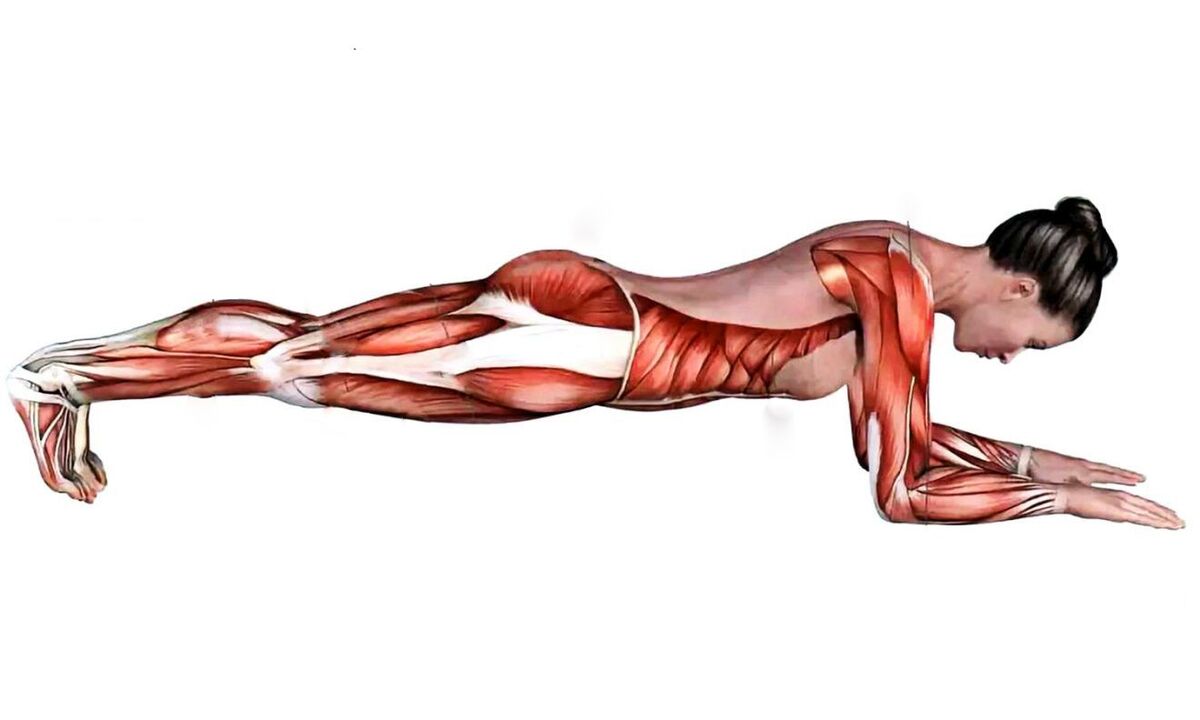 quels muscles travaillent lors de la planche