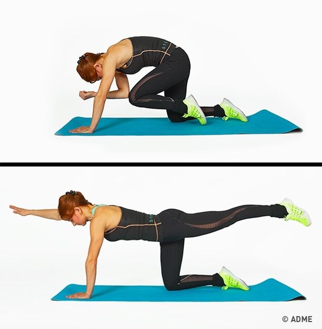 exercices